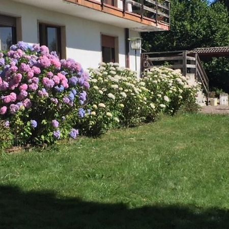 Villa Immersa Nel Verde A Lanzo dʼIntelvi Kültér fotó