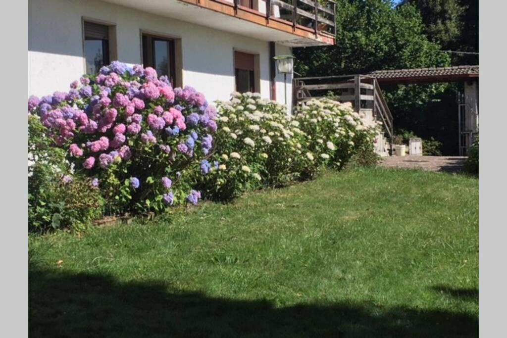 Villa Immersa Nel Verde A Lanzo dʼIntelvi Kültér fotó