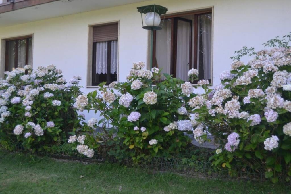 Villa Immersa Nel Verde A Lanzo dʼIntelvi Kültér fotó